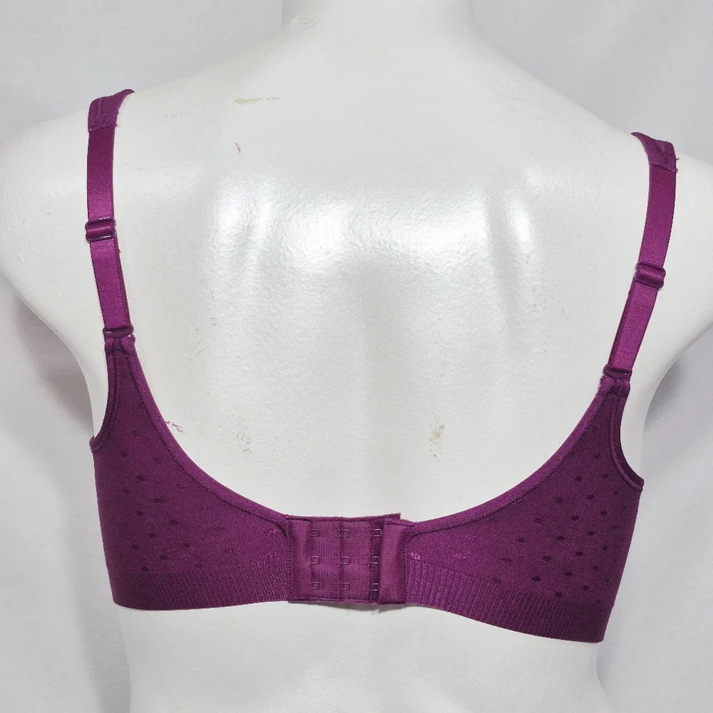 Bali 42d 3463